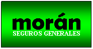 Cuadro de texto: mor�n
SEGUROS GENERALES

